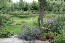 IMG_0724.webp