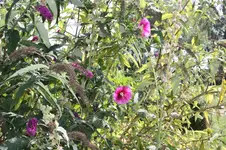 IMG_0755.webp