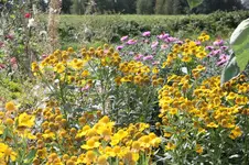 IMG_0762.webp