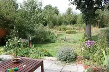 IMG_0837.webp
