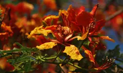 DSC_0830.webp