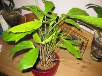 IMG_0936.webp