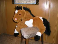 Pony.webp