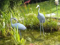 DSCN0939.webp