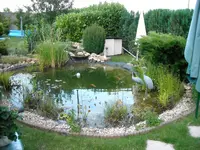 Teich 2008.webp
