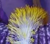 bilderrätsel.webp