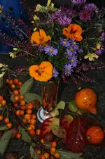 herbststrauss.webp