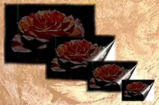 rote Rose.webp