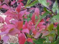 P1090381_600_450.webp
