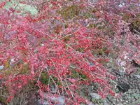 P1090393_600_450.webp