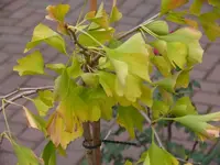 P1090376_600_450.webp