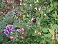 P1090372_600_450.webp