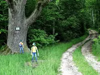 Am Wegesrand_0315.JPG