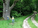 Am Wegesrand_0315.JPG