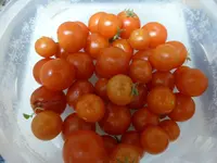 P1130944Vilma.webp
