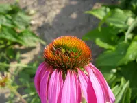 25_08_2019_1 (8).webp