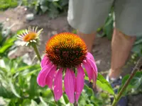 25_08_2019 (16).webp