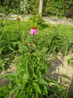 25_08_2019 (18).webp