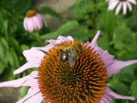 25_08_2019 (39).webp