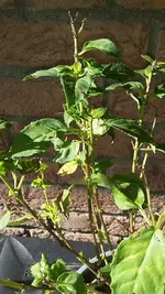 20190823_172359.webp