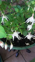 20190823_172503.webp
