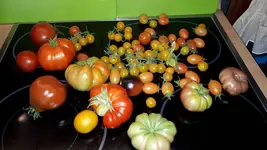 20190826_112510.jpg