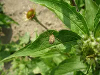 26_08_2019 (44).webp