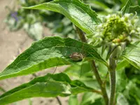 26_08_2019 (56).webp