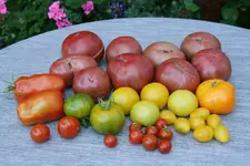 August  0919.JPG
