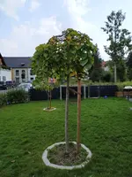IMG_20190825_151639.webp