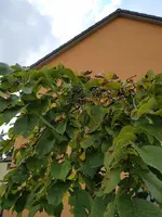 IMG_20190825_151628.webp