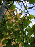 IMG_20190825_151633.jpg