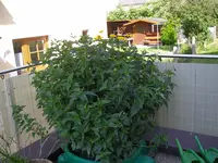 20_06_2019 (3).webp