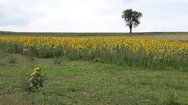 20190826_161156.webp