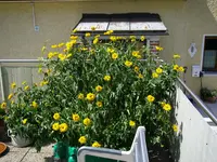 03_07_2019 (30).webp