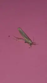 20190827_115447.jpg