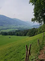 20190824_111734.webp