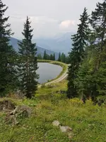 20190824_145616.webp