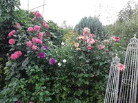 20190827_185932.webp