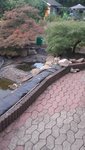 20190827_191447.jpg