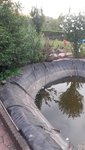 20190827_191500.jpg