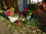 DSC00608.JPG