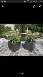 Screenshot_2019-08-26-21-56-48.webp
