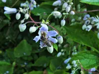 DSCF2737 (2).webp