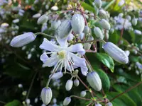 DSCF2736 (2).webp