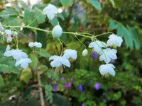 DSCF2741 (2).webp