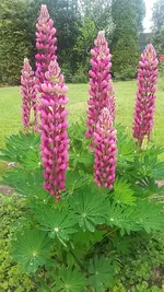 20190531_122844.webp