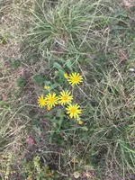 IMG_8406.webp