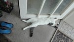 IMG_20190828_184341.jpg