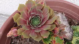 DSC_0168.webp